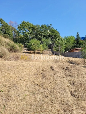 Teren intravilan Turcesti (Pitesti) - 1083 mp, demisol executat - imagine 2
