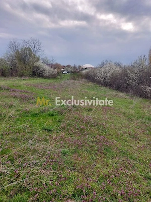 Teren Topoloveni - 3670 mp - langa padure, aproape de Centrul orasului - imagine 5