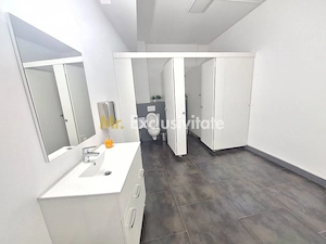 Spatiu Comercial Multifunctional Banat-CLASA A - imagine 12