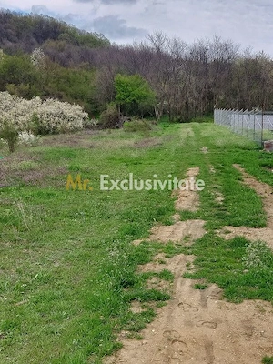 Teren Topoloveni - 3670 mp - langa padure, aproape de Centrul orasului - imagine 4