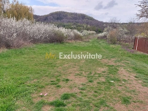 Teren Topoloveni - 3670 mp - langa padure, aproape de Centrul orasului - imagine 2