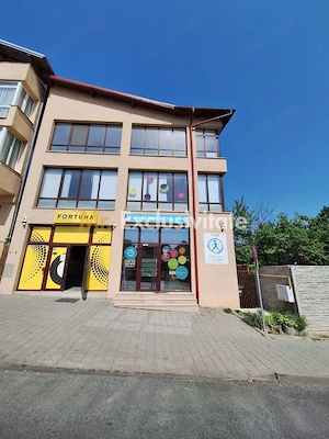 Spatiu Comercial Multifunctional Banat-CLASA A - imagine 15