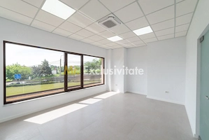 Spațiu comercial generos – 160 mp – poziție premium pe Craiovei! - imagine 4