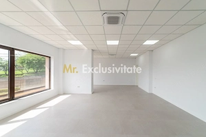 Spațiu comercial generos – 160 mp – poziție premium pe Craiovei! - imagine 10