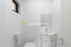 Spațiu comercial generos – 160 mp – poziție premium pe Craiovei! - imagine 16