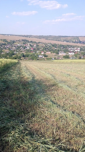 Vând teren extravilan in satul vânători com Popricani  - imagine 5