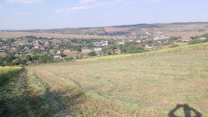 Vând teren extravilan in satul vânători com Popricani  - imagine 2
