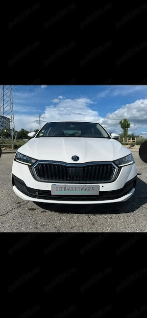 Vand Skoda Octqvia 