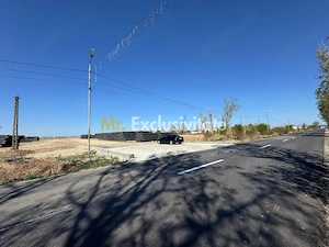 Teren extravilan de vânzare – Căteasca, Argeș | 27.201 mp | Deschidere 58,55 m - imagine 9