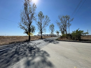Teren extravilan de vânzare – Căteasca, Argeș | 27.201 mp | Deschidere 58,55 m - imagine 7