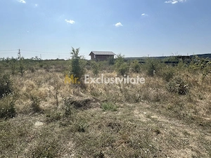 Teren zona Magic Trivale intravilan 1040 mp - imagine 3