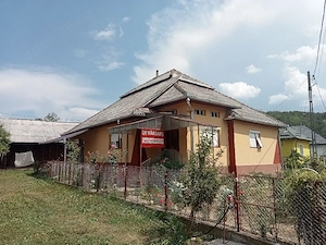 Gospodarie de vanzare cu 4 camere - imagine 2