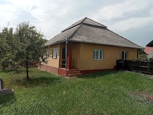 Gospodarie de vanzare cu 4 camere - imagine 7