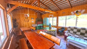 Pensiune / Casă de vacanță de vânzare în Lepșa, - imagine 8