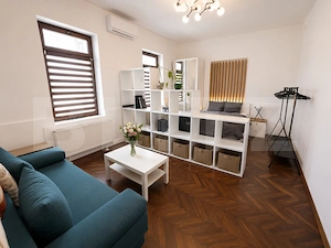 Studio, 50 mp, mobilat modern, Casa de Cultura - imagine 4