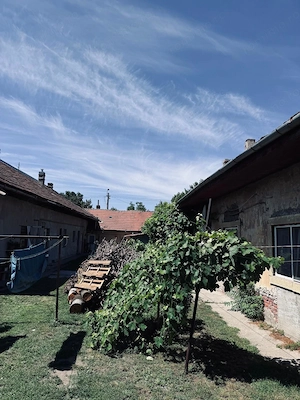 AV702 Casa 3 camere, curte comuna-Iosefin - imagine 10