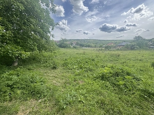 Teren intravilan Goruni, Tomești   1.520 mp, posibilitate împărțire - imagine 3