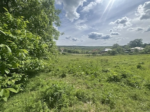 Teren intravilan Goruni, Tomești   1.520 mp, posibilitate împărțire - imagine 2