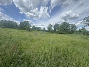 Teren intravilan Goruni, Tomești   1.520 mp, posibilitate împărțire - imagine 5