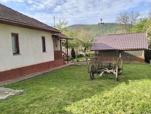 Vand casa cu teren in Branisca - imagine 7