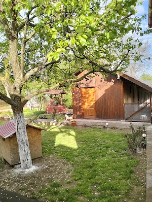 Vand casa cu teren in Branisca - imagine 3