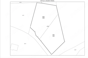 Teren intravilan Goruni, Tomești   1.520 mp, posibilitate împărțire - imagine 8