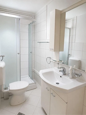 vand casa , 6 camere , 2 bai , curte , anexe . - imagine 2