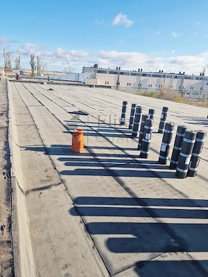 Complex industrial cu 4 hale și teren 15.568 mp in Salonta - imagine 7