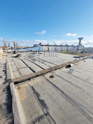 Complex industrial cu 4 hale și teren 15.568 mp in Salonta - imagine 5