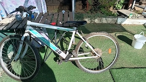 Biciclete MTB sau Dama