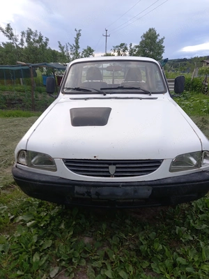 Dacia Papuc 19 diesel 4x4 - imagine 9