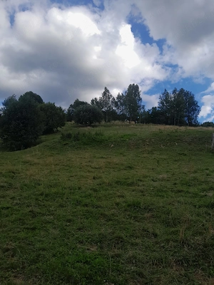 Proprietate rurală autentică cu 20.600 mp teren compact și panoramă deosebită   Barcani, Covasna - imagine 10
