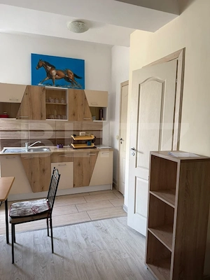 Apartament 1 camera, 37 mp, zona Steaua - imagine 7