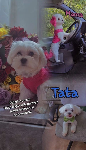 Bicon maltez fetiță miny toy