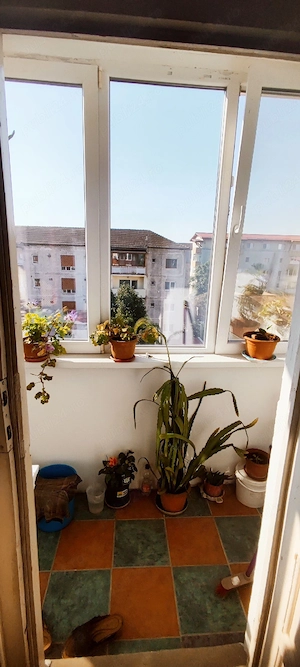 Girocului Cosminului,3 camere decomandat - imagine 18