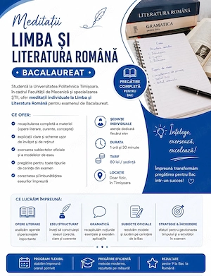 Meditatii Bacalaureat Limba Romana 