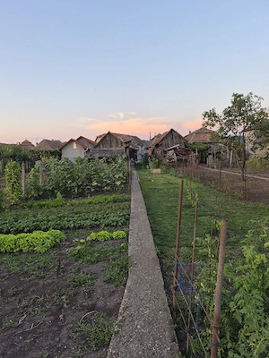    Casă 2 camere plus Extensie în Construcție   De Vânzare în Câmpia Turzii - imagine 10