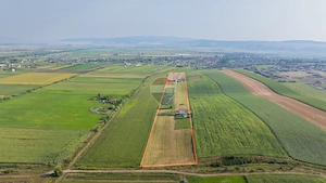 Comision 0% | Terenuri pentru construcția de case – Bod | 9 parcele - imagine 12
