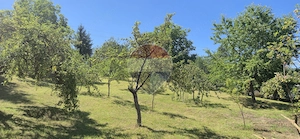 Casă / Vilă cu 2 camere de vânzare - imagine 5