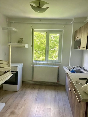 Apartament 2 camere de  #238;nchiriat – l #226;ng #259; Iulius Mall – complet mobilat  #537;i utilat - imagine 3