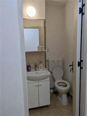 Sagului, apartament 2 camere, renovat, etaj 1 - imagine 6