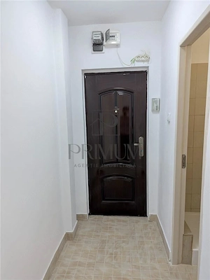 Sagului, apartament 2 camere, renovat, etaj 1 - imagine 7