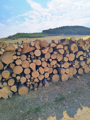 Vand lemne de foc carpen si stejar calitate superioara 