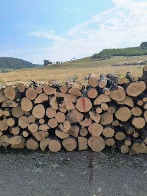 vand lemne de foc esenta tare transport la domiciliu 