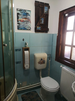 Casă cu teren 485 mp - imagine 9