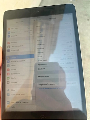 Ipad mini  - imagine 2