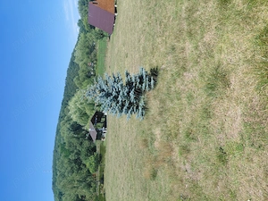 Vând teren plus lac  plus 2 cabane si foisor