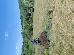 Vând teren plus lac  plus 2 cabane si foisor - imagine 2