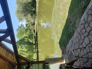 Vând teren plus lac  plus 2 cabane si foisor - imagine 6