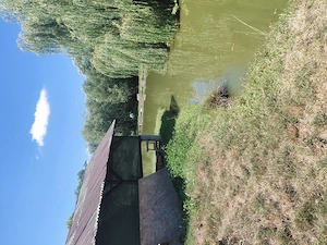 Vând teren plus lac  plus 2 cabane si foisor - imagine 8